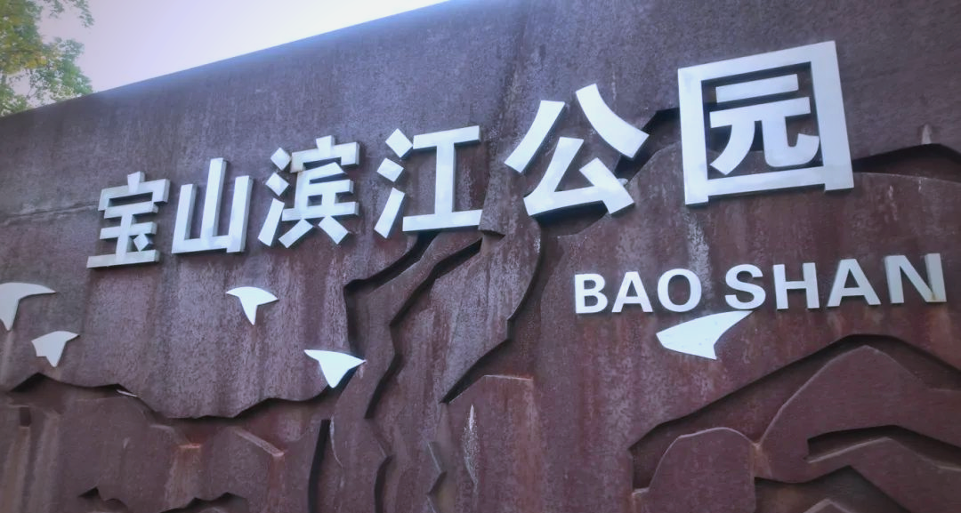 Baoshan Binjiang (leadership team of Baoshan Binjiang Management Committee)